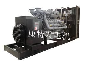 帕金斯800kw